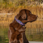 1.25” Ribbon Dog Collar – Flamingos Thumbnail