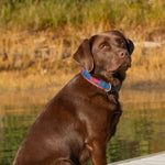 1.25” Ribbon Dog Collar – Lobster,  Red on Navy Blue Thumbnail