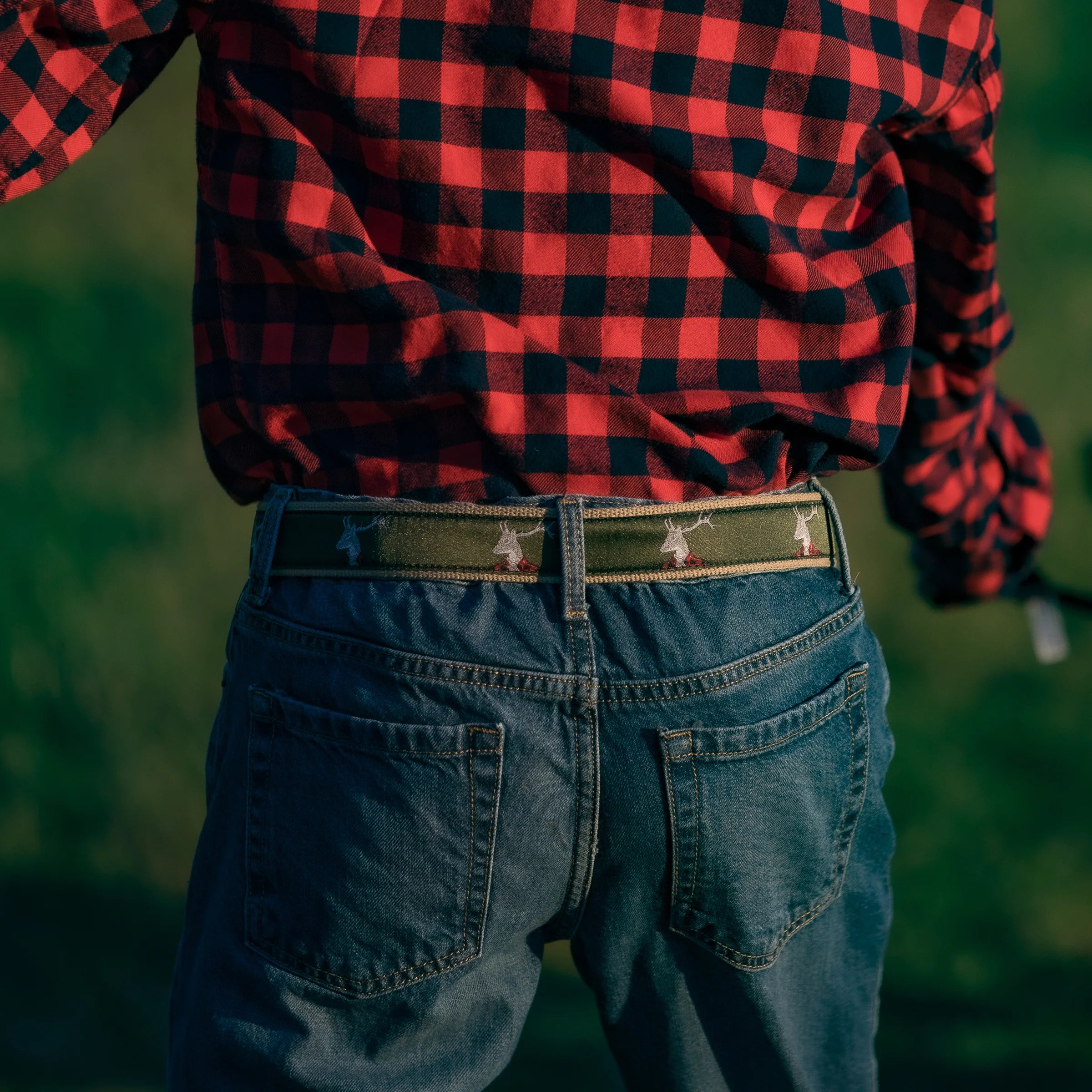 D-Ring Belt - Dapper Stag