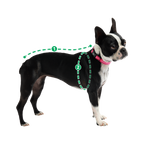 Reversible Dog Coat - Red Thumbnail