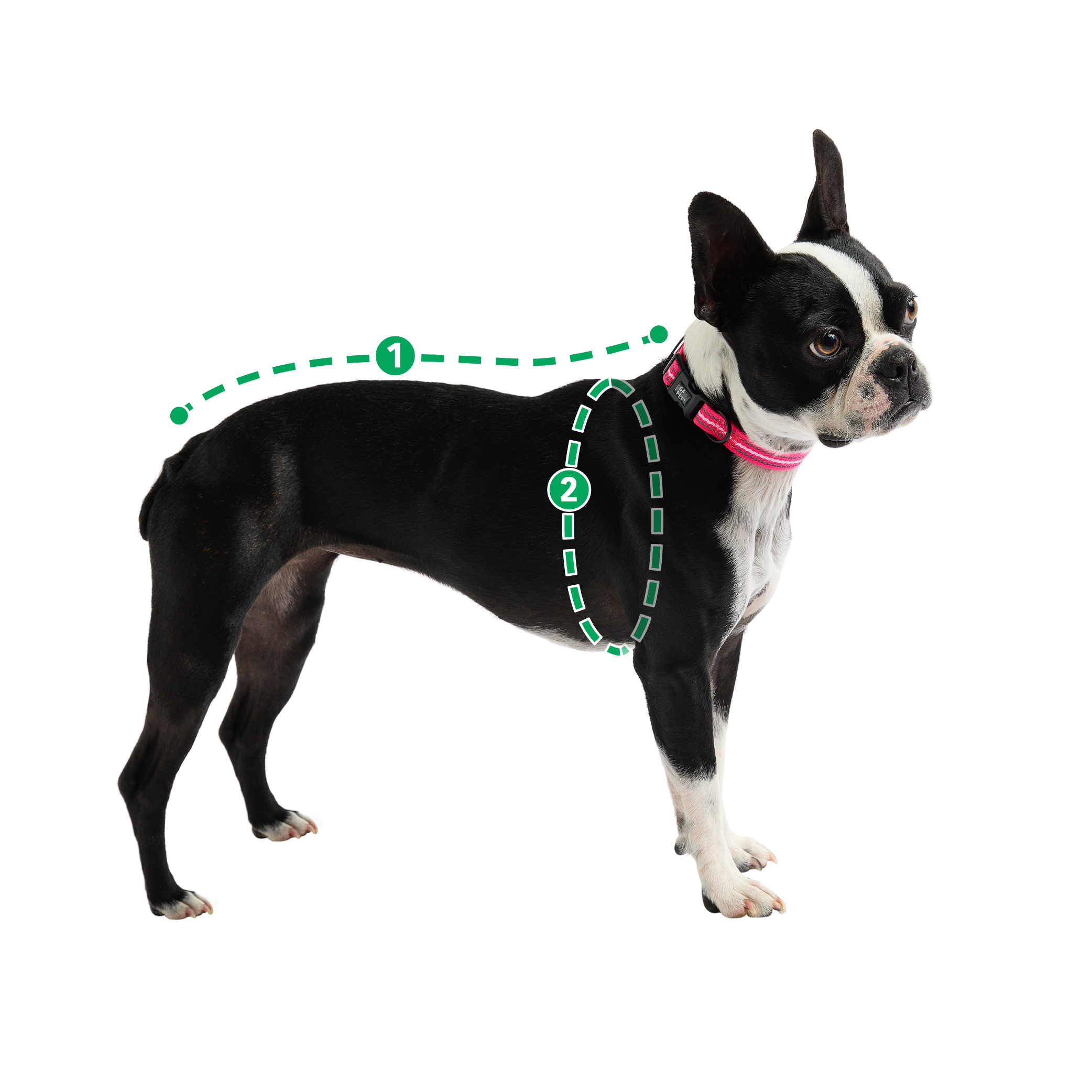 Reversible Dog Coat - Red