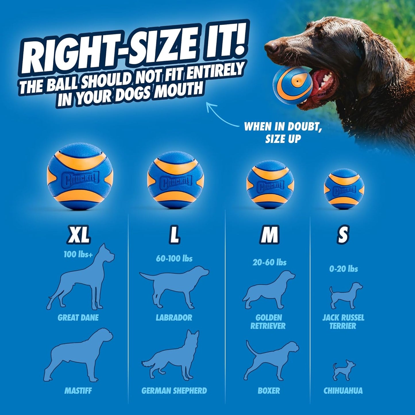 Dog Fetch Toy – Squeaky – Medium