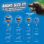 Dog Fetch Toy – Squeaky – Medium Thumbnail