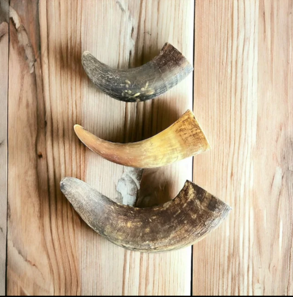 Bull Horn – ea