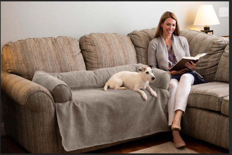 Couch Companion Dog Bed