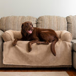 Couch Companion Dog Bed Thumbnail