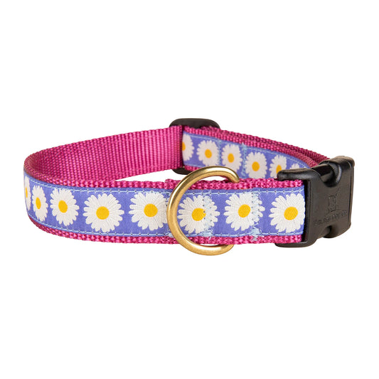 1” Ribbon Dog Collar - Daisy