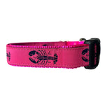 Adjustable nylon webbing dog collar featuring a repeating navy blue lobster pattern on a hot pink ribbon background, attached to vibrant pink webbing with a black plastic buckle. Thumbnail