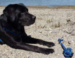 Dog Tug Toy - Lobster Line Thumbnail