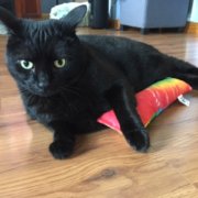 Wicked Kick-Ah XL Catnip Toy