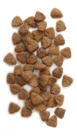 Earthborn Dry Dog Food - Coastal Catch Thumbnail