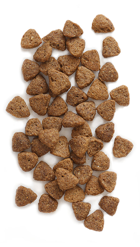 Earthborn Dry Dog Food - Coastal Catch