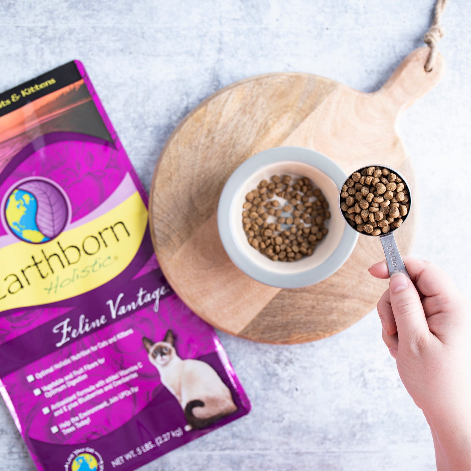 Earthborn Dry Cat Food - Feline Vantage
