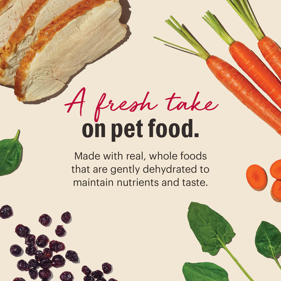 Honest Kitchen Dehydrated Dog Food - Grain-Free Turkey - 10lb