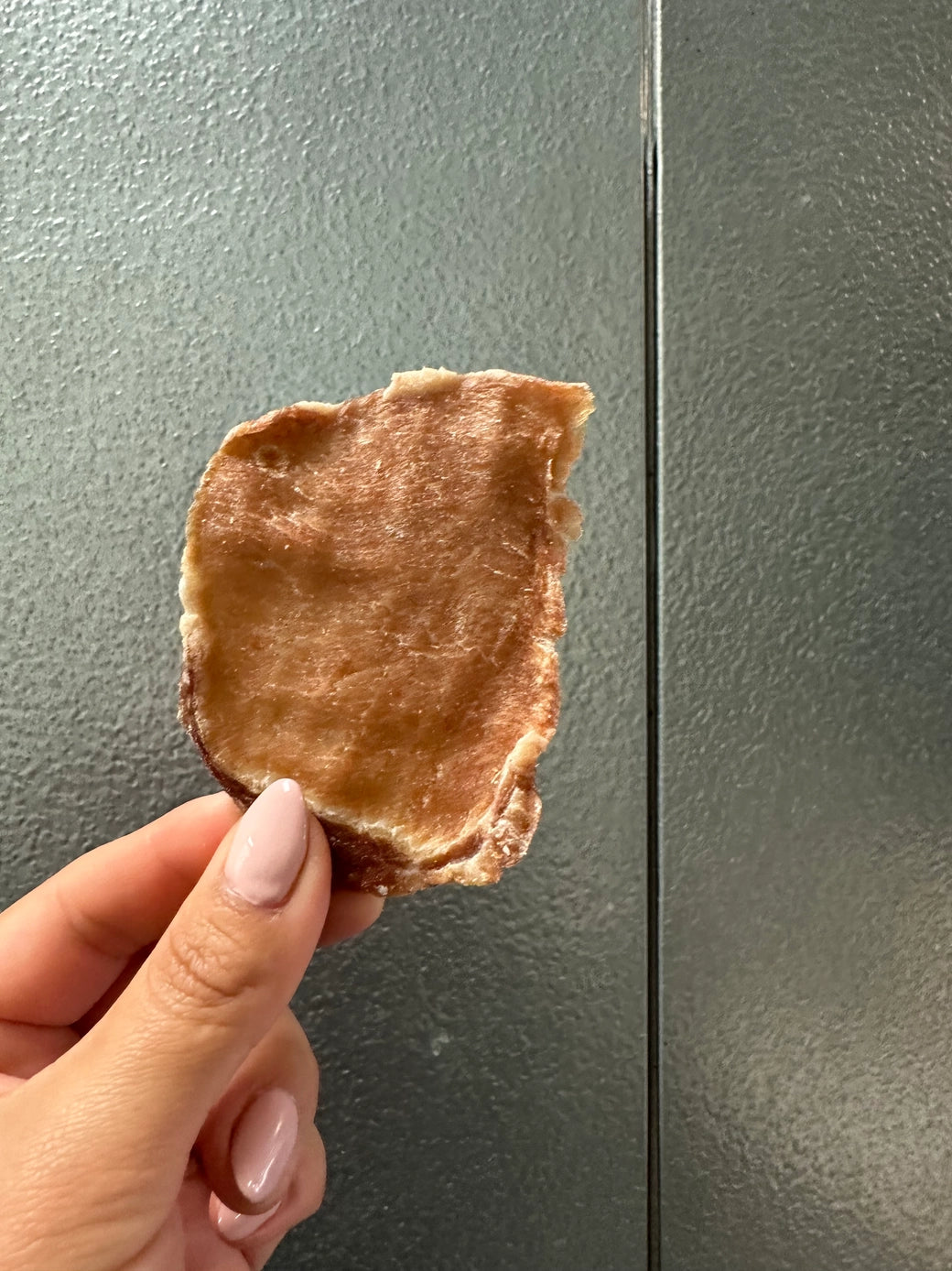 Dehydrated Pork Jerky - Bulk - ea.