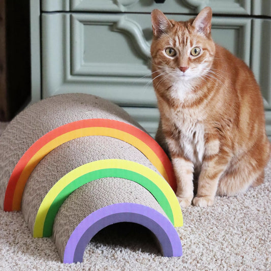 Expandable Cat Scratcher - Rainbow