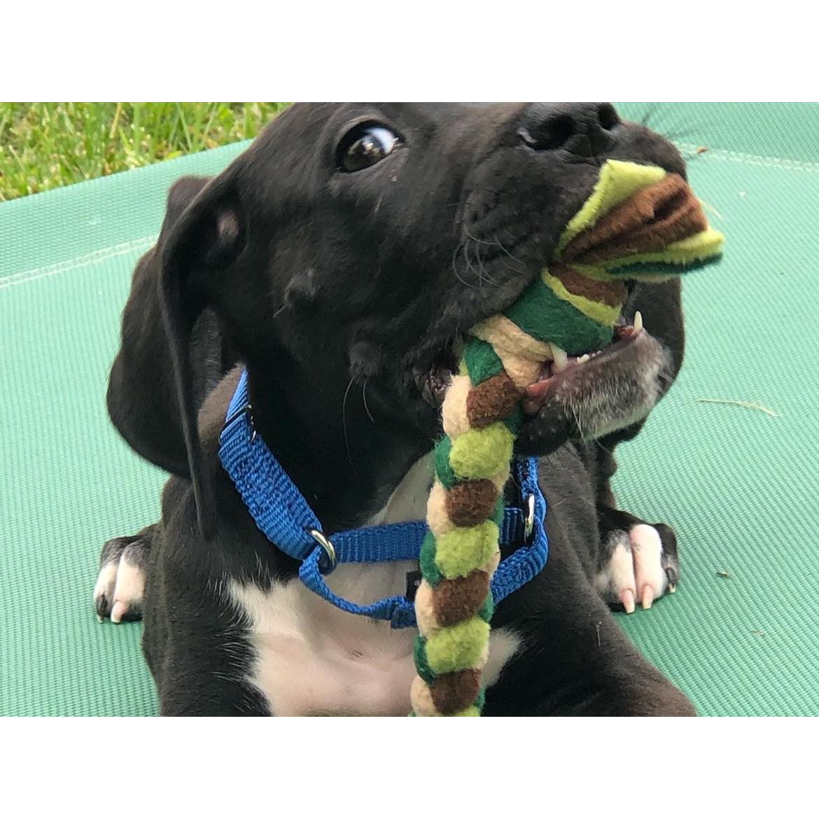 Handmade Dog Tug Toy - Multicolored Fleeces - 4 Sizes - Made in USA