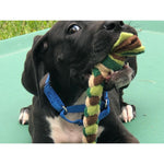 Handmade Dog Tug Toy - Multicolored Fleeces - 4 Sizes - Made in USA Thumbnail