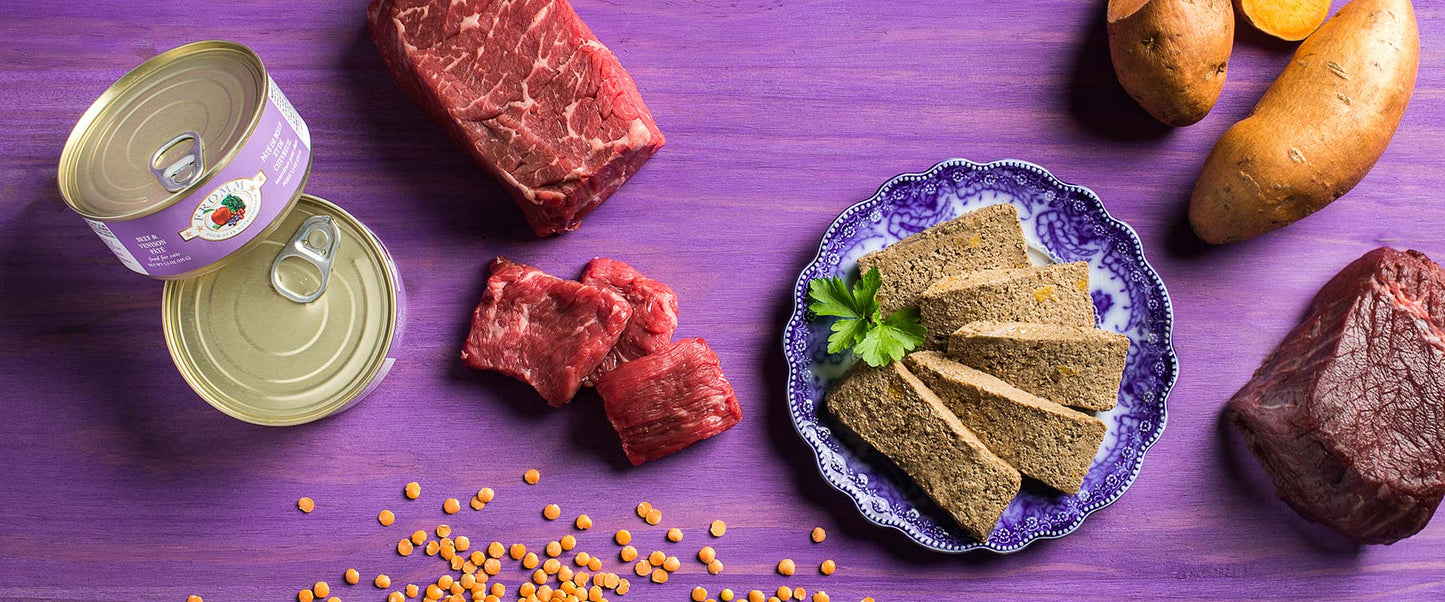 Fromm Wet Cat Food - 4-Star Beef/ Venison Pate - 5.5oz