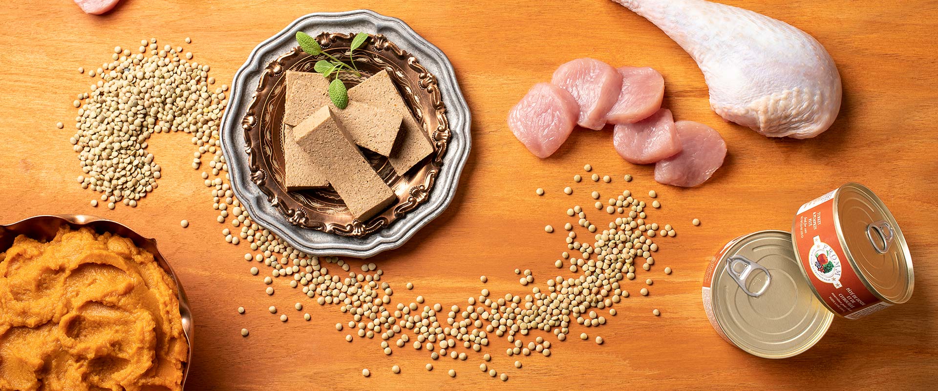 Fromm Wet Cat Food - 4-Star Turkey & Pumpkin Pate - 5.5oz