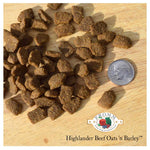 Fromm Dry Dog Food - 4 Star Hilander Beef Thumbnail