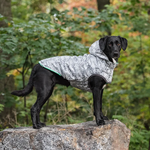 Dog Rain Coat - Green Thumbnail