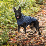 Dog Rain Coat - Navy Blue Thumbnail