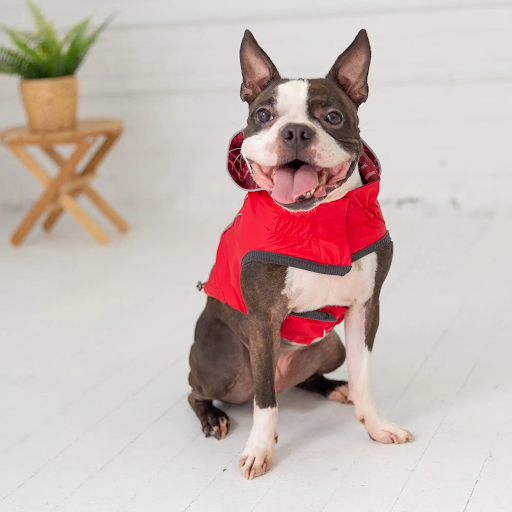 CLEARANCE: GF Pet Reversible Dog Rain Coat - Red - 2XS, XS, SM