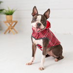Dog Rain Coat - Red Thumbnail