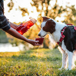 24oz Water Bottle w/ Drinking Cup Thumbnail