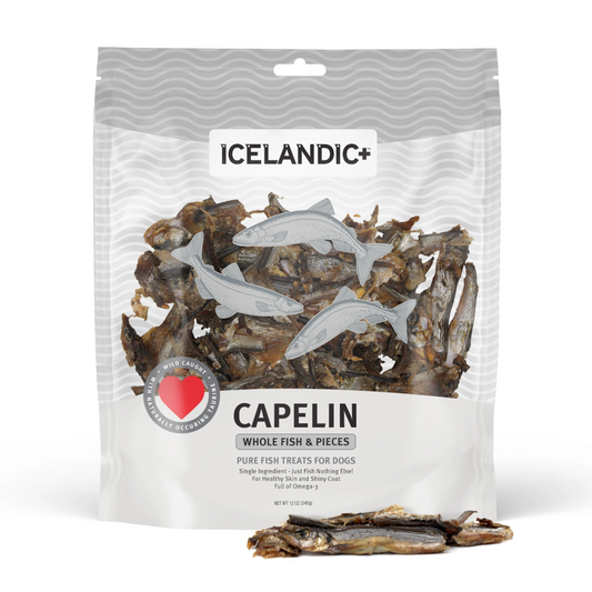 Capelin Whole Air-Dried Fish