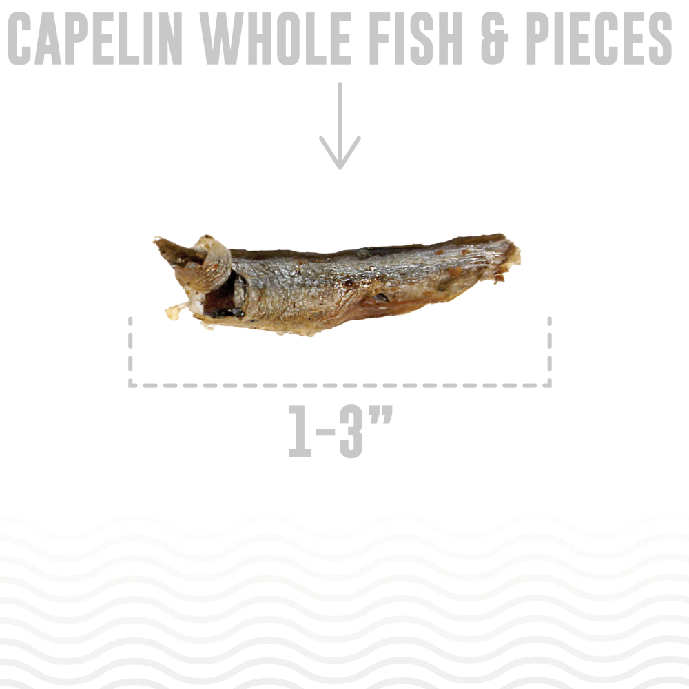 Capelin Whole Air-Dried Fish