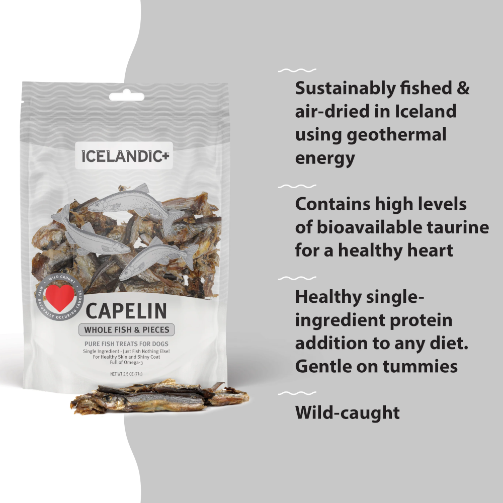 Capelin Whole Air-Dried Fish