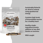 Capelin Whole Air-Dried Fish Thumbnail