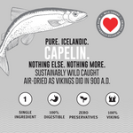 Capelin Whole Air-Dried Fish Thumbnail