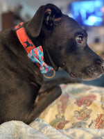 1.25” Ribbon Dog Collar – Labrador Retriever,  Red Thumbnail
