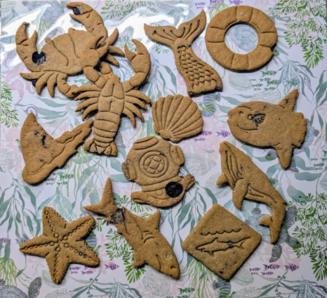 Shark Snacks - Sharks