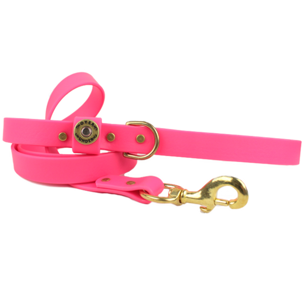 1" x 5ft Mudproof Dog Leash - Pink