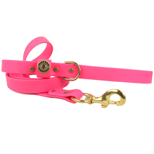1" x 5ft Mudproof Dog Leash - Pink