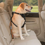 Dog Car Restraint - Seatbelt Tether Thumbnail