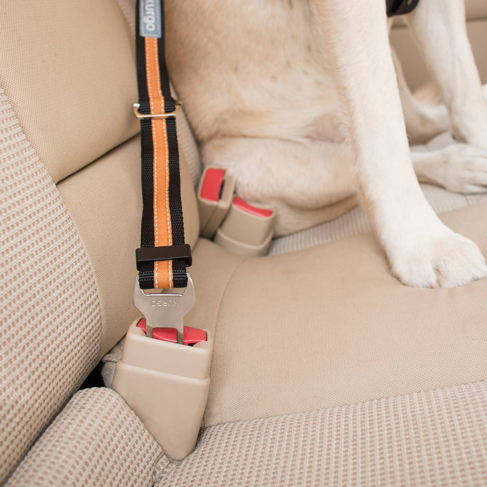 Dog Car Restraint - Seatbelt Tether