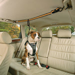 Dog Car Restraint - Zip Line Thumbnail