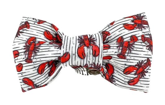 Dog Bow Tie - Red Lobsters
