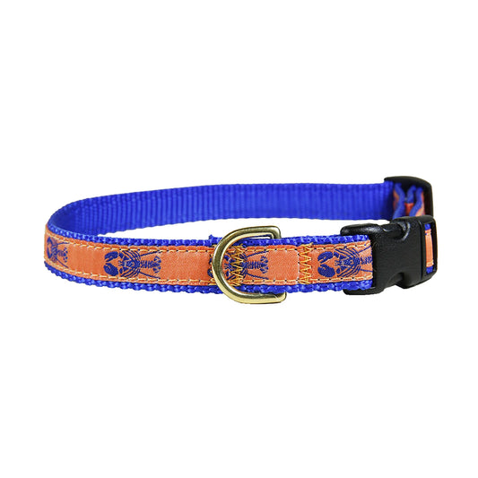5/8” Ribbon Dog Collar – Lobster,  Blue on Mango