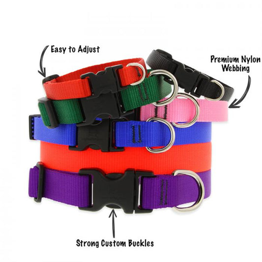1” Nylon Dog Collar - 12"-20"