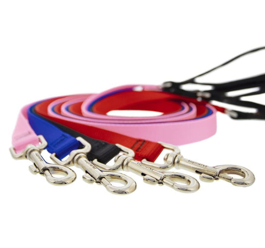 1” Nylon Dog Leash x 4ft