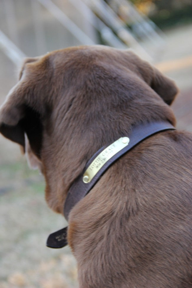 1" Bridle Leather Dog Collar