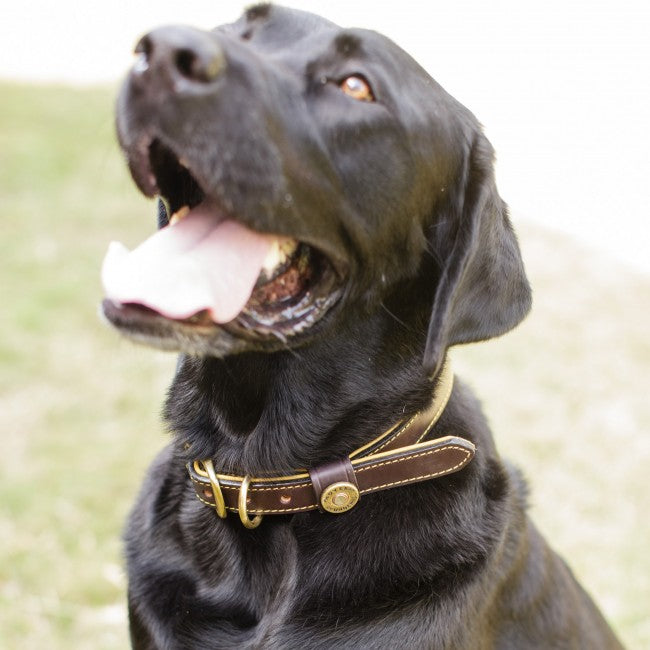 1" Deerskin-Lined Leather Dog Collar