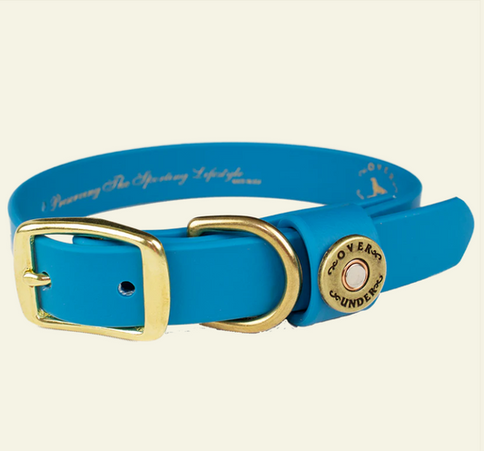 1" Mudproof Dog Collar - Aqua
