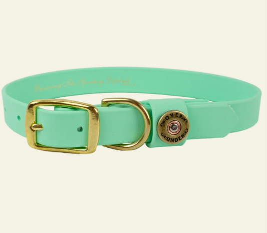 1" Mudproof Dog Collar - Mint Green